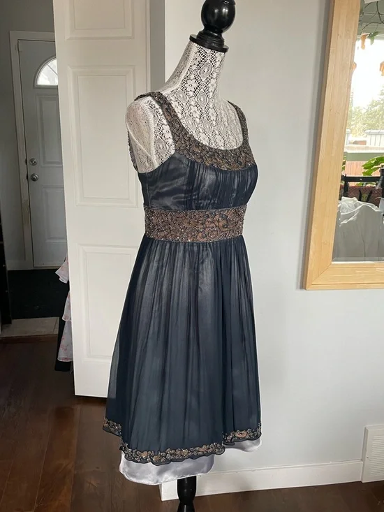 Gorgeous Adrianna Papell 100% Silk Cooper and Onyx Beaded Party Dress. Size 8. - Picture 5 of 10